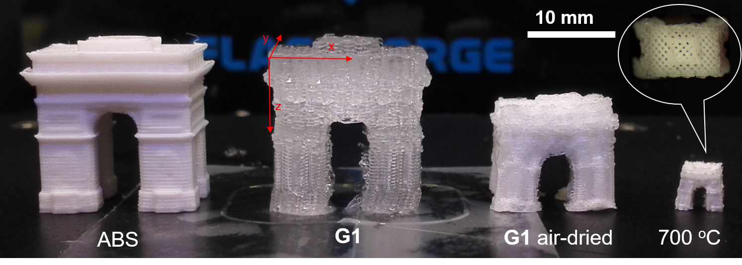 This photo shows a 3D-printed object composed of hydrogel (G1) changing size after printing. Photo: Chenfeng Ke.