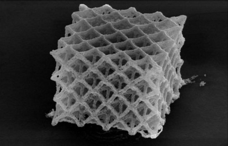 A lattice of 3D printed nickel. The entire structure is printed in 150nm layers and the final structure is 6µm high. Image: Greer Lab.