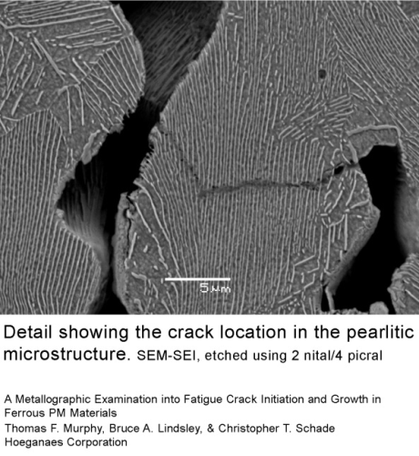 From Hoeganaes' paper, “A Metallographic Examination into Fatigue Crack Initiation and Growth in Ferrous PM Materials”.