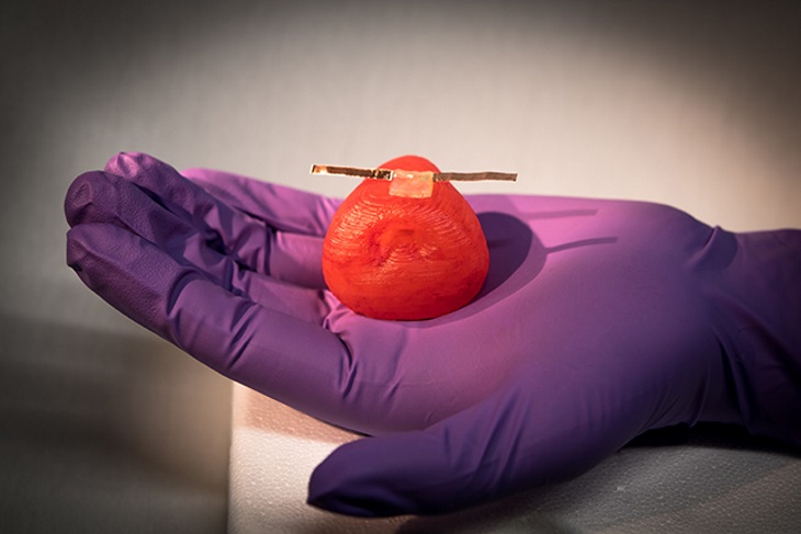Researchers can attach sensors to the organ models to give surgeons real-time feedback on how much force they can use during surgery without damaging the tissue. Photo: University of Minnesota.