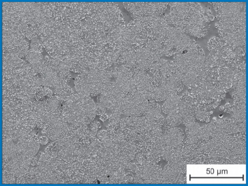 Figure 3. Microstructure of Nb14 with 2.35 % C, austenised at 1100°C, quenched in oil.