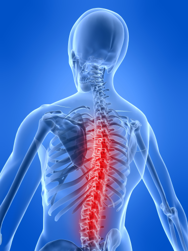 Surgery on the human spine is one of the most exacting procedures for surgeons.