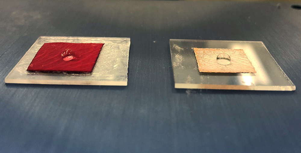 This lab demonstration shows how a rose petal and a metallic replica of the petal's surface texture can both repel water. Photo: Martin Thuo and his research group.