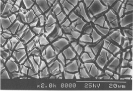Figure 1. SEM photograph of a MMO electrode
