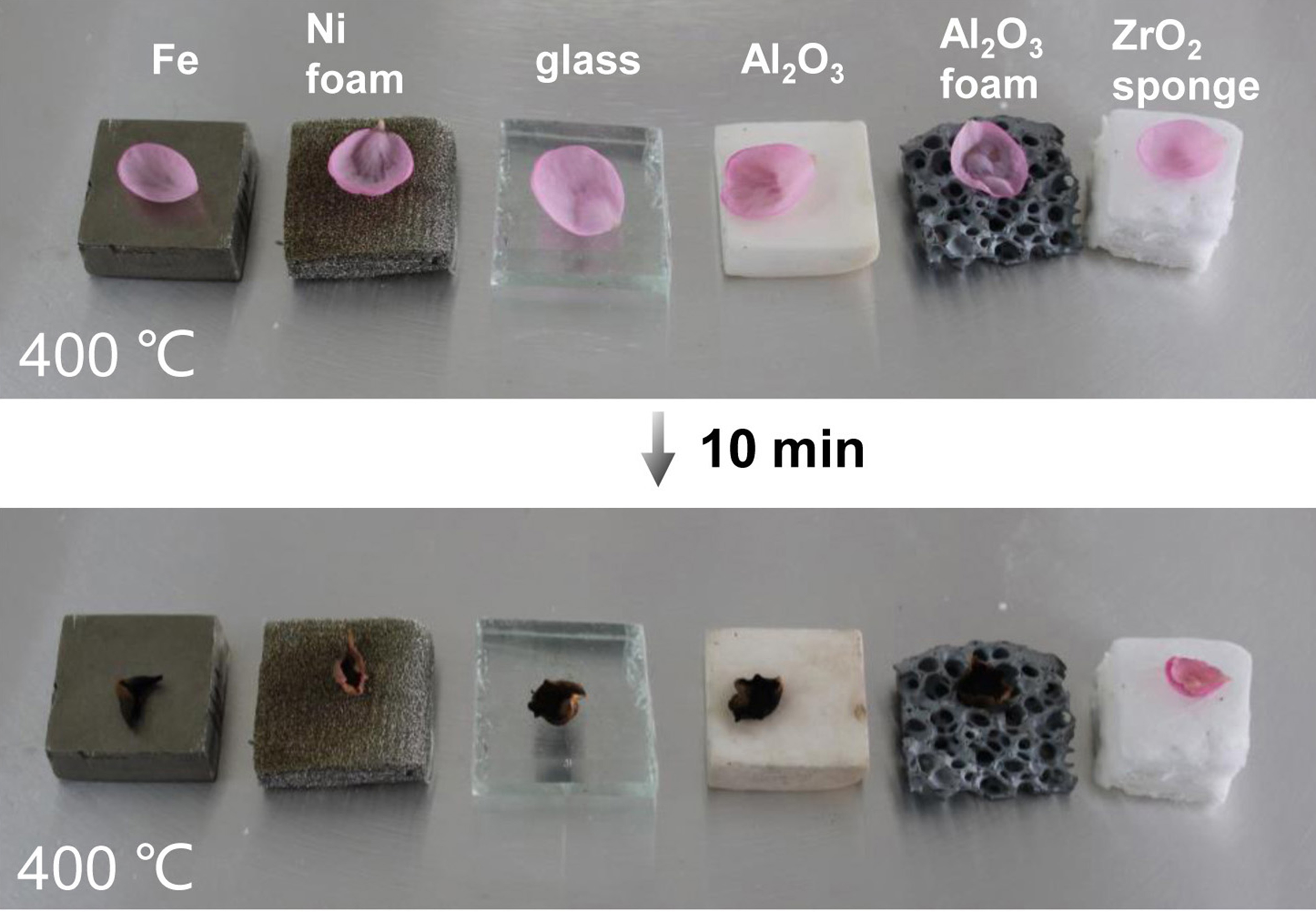 A porous, deformable sponge-like material made from ceramic nanofibers displays remarkable heat resistance. Here, flower petals are heated atop 7mm-thick discs of varying materials. After heating the materials from the bottom at 400°C, the petal atop the ceramic sponge is barely wilted, while the others are burnt to a crisp. Image: Gao/Li/Wu/Brown University/Tsingua University.