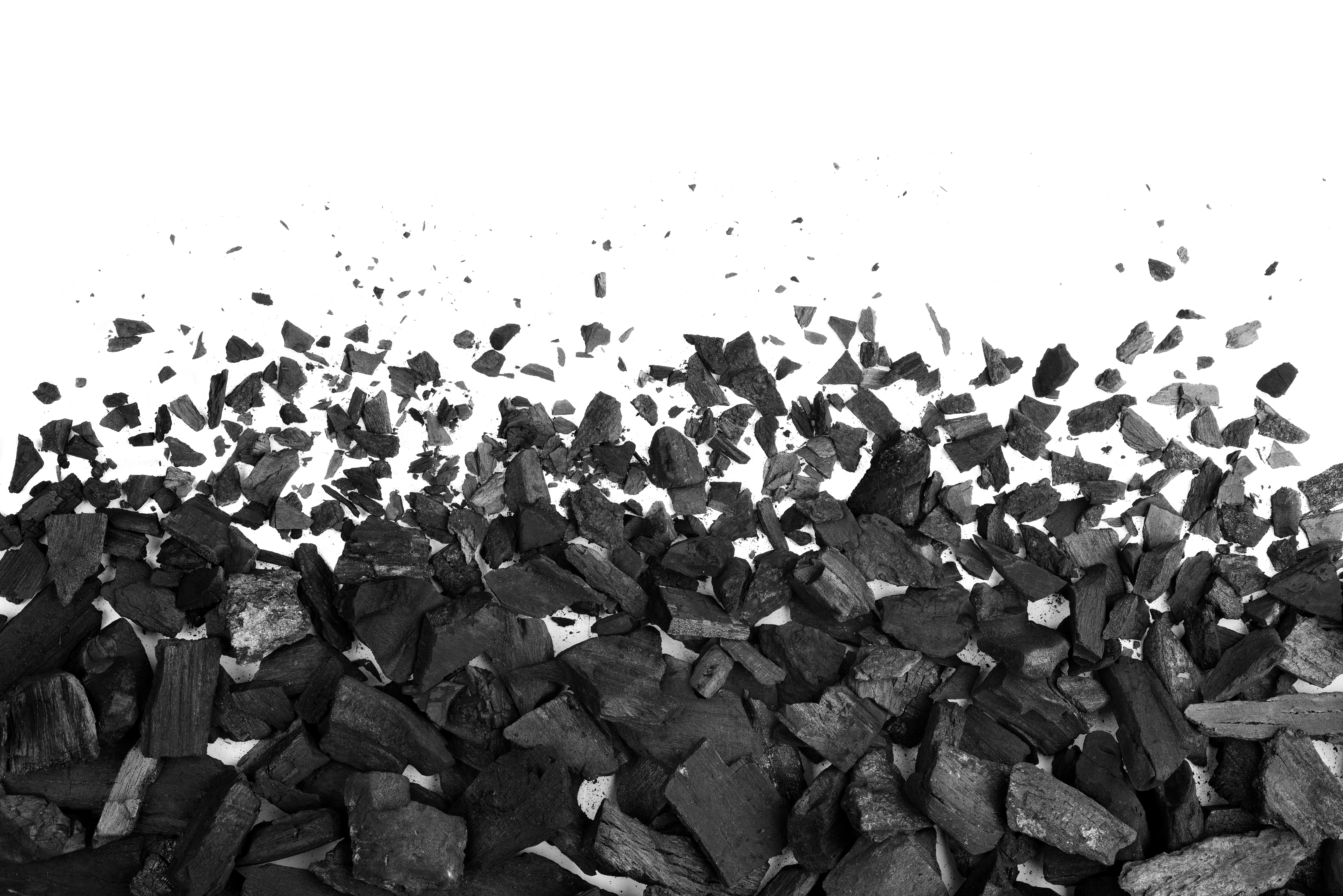 The project aims at developing knowledge of bio-coal in order to replace as much fossil coal as possible.