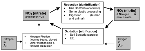 Figure 2: Simplified nitrogen cycle with emphasis on conversions between nitrates.