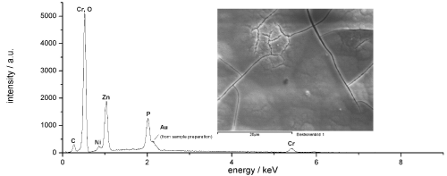 Figure 6: SEM/EDX (10 kV) of a black passivated zinc–nickel (Reflectalloy ZNA, Tridur ZnNi H1) surface with Tridur Finish 300 (20% v/v, pH 5.5, 45°C) applied. Only elements that are also commonly found in passivate layers are present with the post-dip applied. Gold is present due to sample preparation.