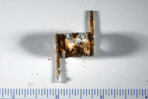 Figure 4. Failed Galvanized Plating on a Spring After 48 Hours of Exposure to NSS.