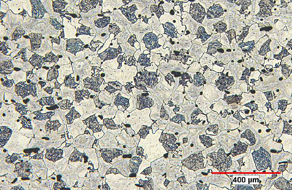 A cross-section of FSLA material showing the dual-phase microstructure after heat treatment (dark: martensite/bainite; light: ferrite).