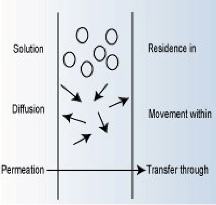 Figure 1. Concepts of solution, diffusion, and permeation.