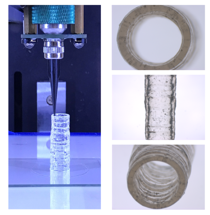 These photos show the fabrication of the 3D bioprinted vascular model, made with a hydrogel-based bioink containing native endothelial and vascular smooth muscle cells. Image: Dr. Akhilesh Gaharwar/Texas A&M Engineering.