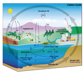 Figure 4. Carbon dioxide CleanTech uses recycled carbon dioxide.