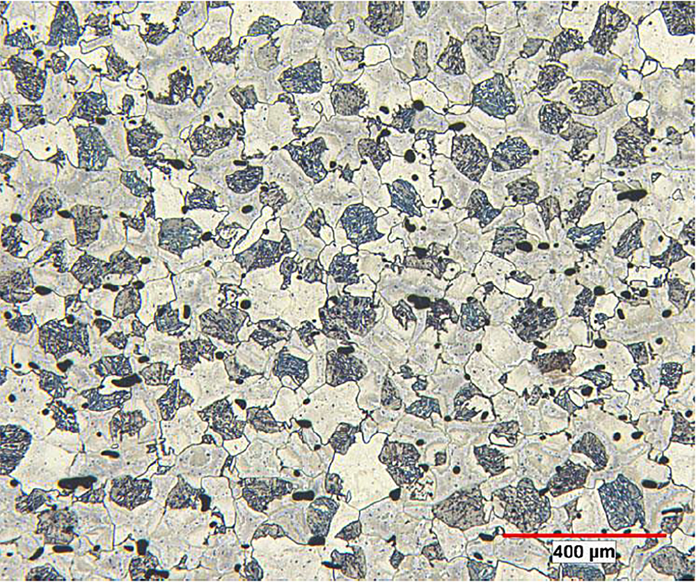 A cross-section of the free sintering low alloy (FSLA) material showing the dual-phase microstructure after heat treatment (dark: martensite/bainite; light: ferrite).
