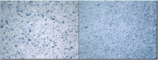 Microscopic pictures demonstrating the more uniform and fuller coverage Advanced Coating & Application Technologies® provides.