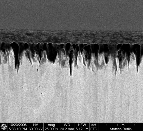 Figure 1: FIB cross section, SEM image of a sealer layer on top of a black passivated zinc layer (Protolux 3000 with Tridur Zn H1, Corrosil Plus 501).