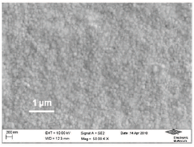Figure 3: High resolution SEM image - Grain structure of  SILVERON GT-101 Bright Silver.