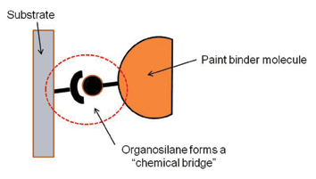 Figure 3. Organosilane adhesion promoters provide a strong “chemical bridge” between the paint film and the substrate.