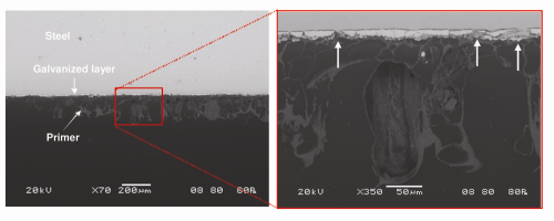 Figure 11:SEM of Box B (interior surface) showing significant air entrapment in the primer and the consumption of the galvanized layer.