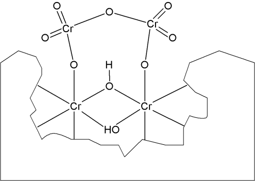 Figure 2: Structure of chromate conversion coatings from hexavalent chromium solutions (the solid structure indicates further chromium-olate polymer).